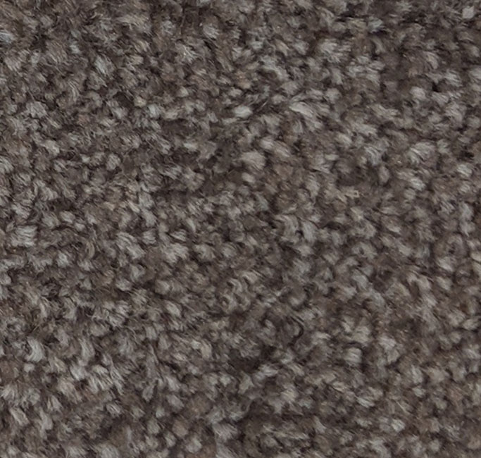 Durban by Condor Carpets Carpet Monster