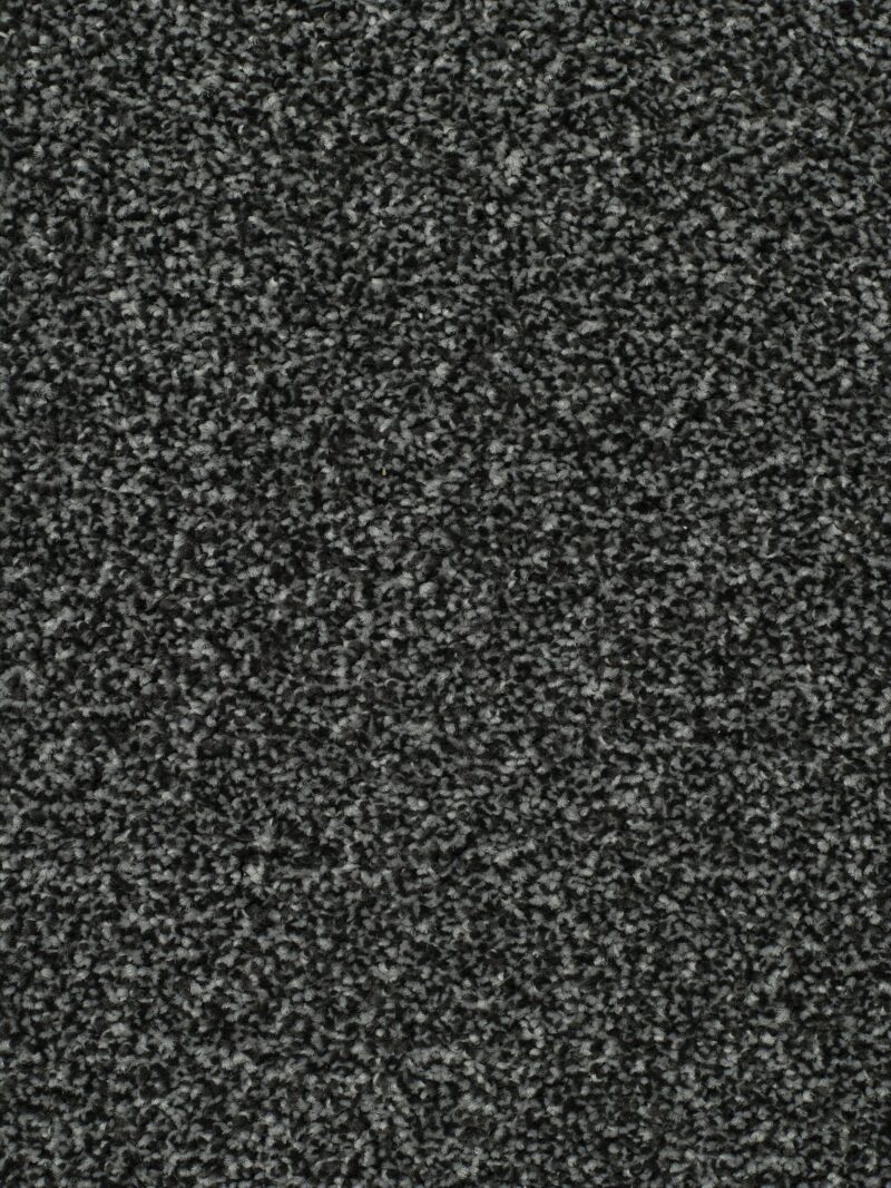 DEVOTION - ASH GREY