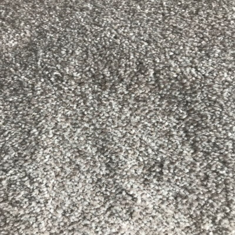 Hong Kong by Condor Carpets Carpet Monster