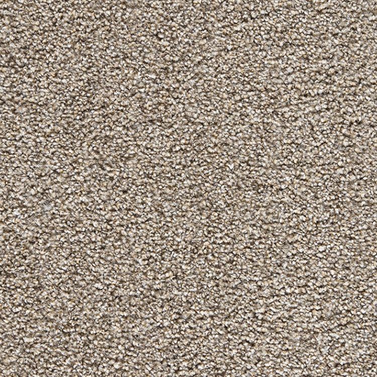 Zurich Heathers Deep Pile Saxony Carpet Carpet Monster