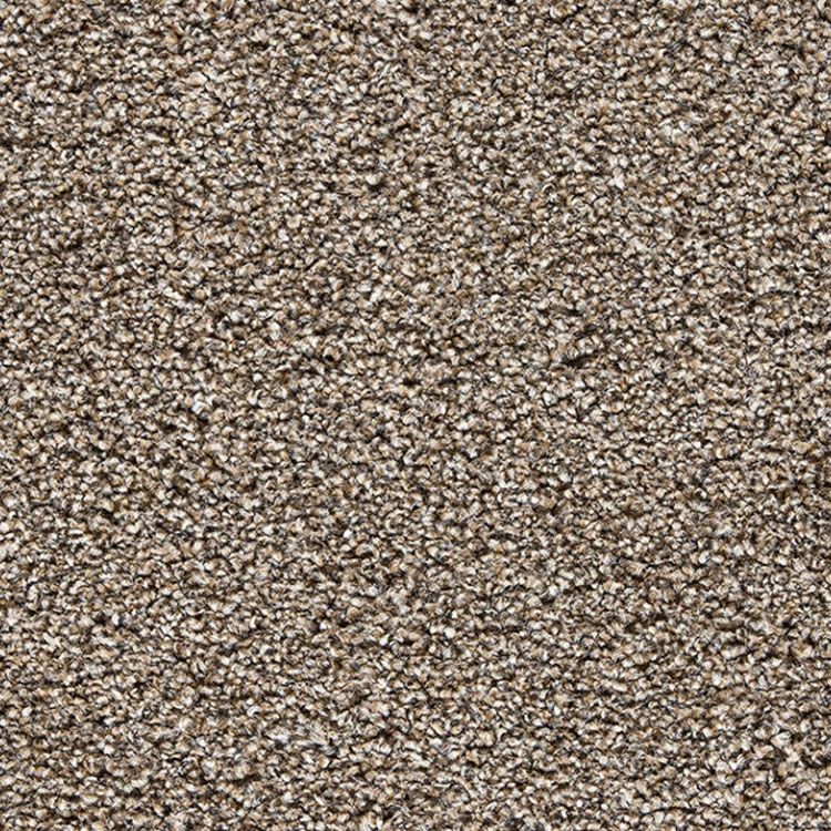 Zurich Heathers Deep Pile Saxony Carpet Carpet Monster