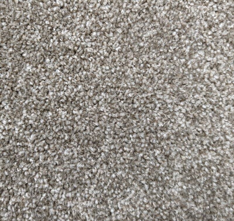 Windsor by Carpet Monster Carpet Monster