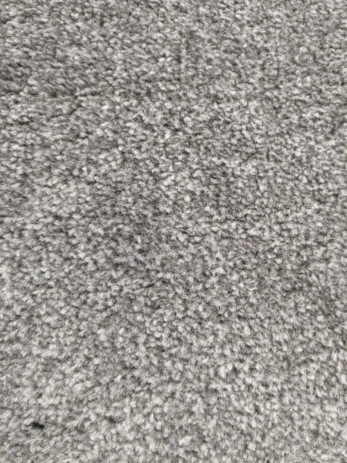 Caledon Twist by Carpet Monster Carpet Monster