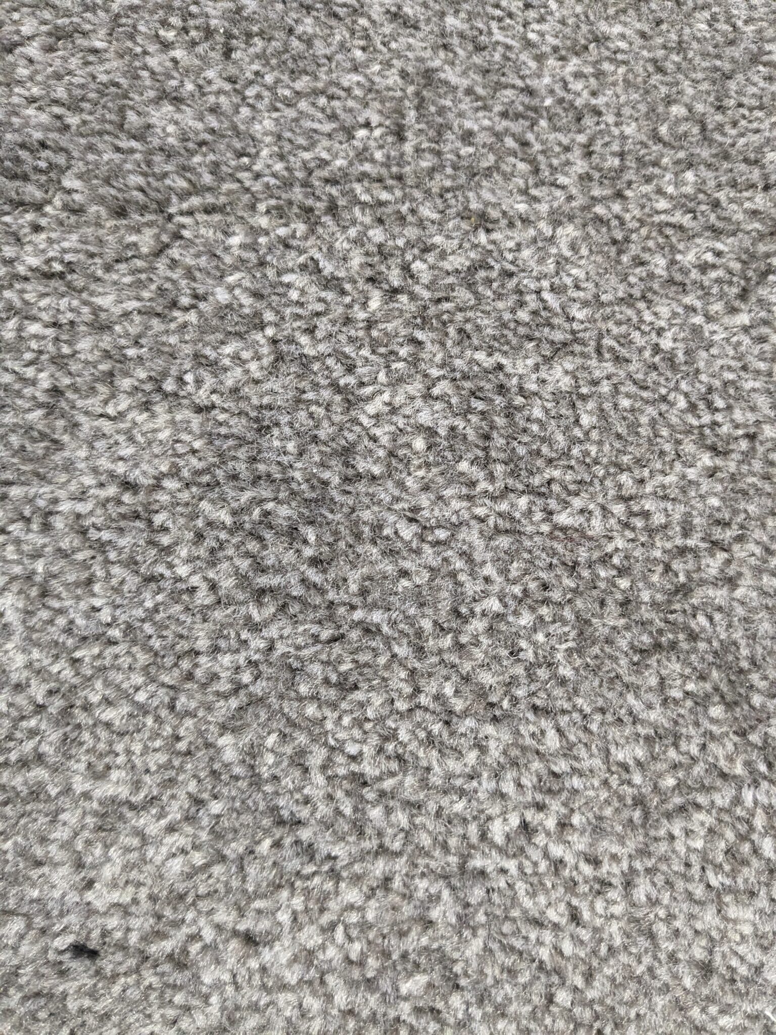 Caledon Twist by Carpet Monster Carpet Monster