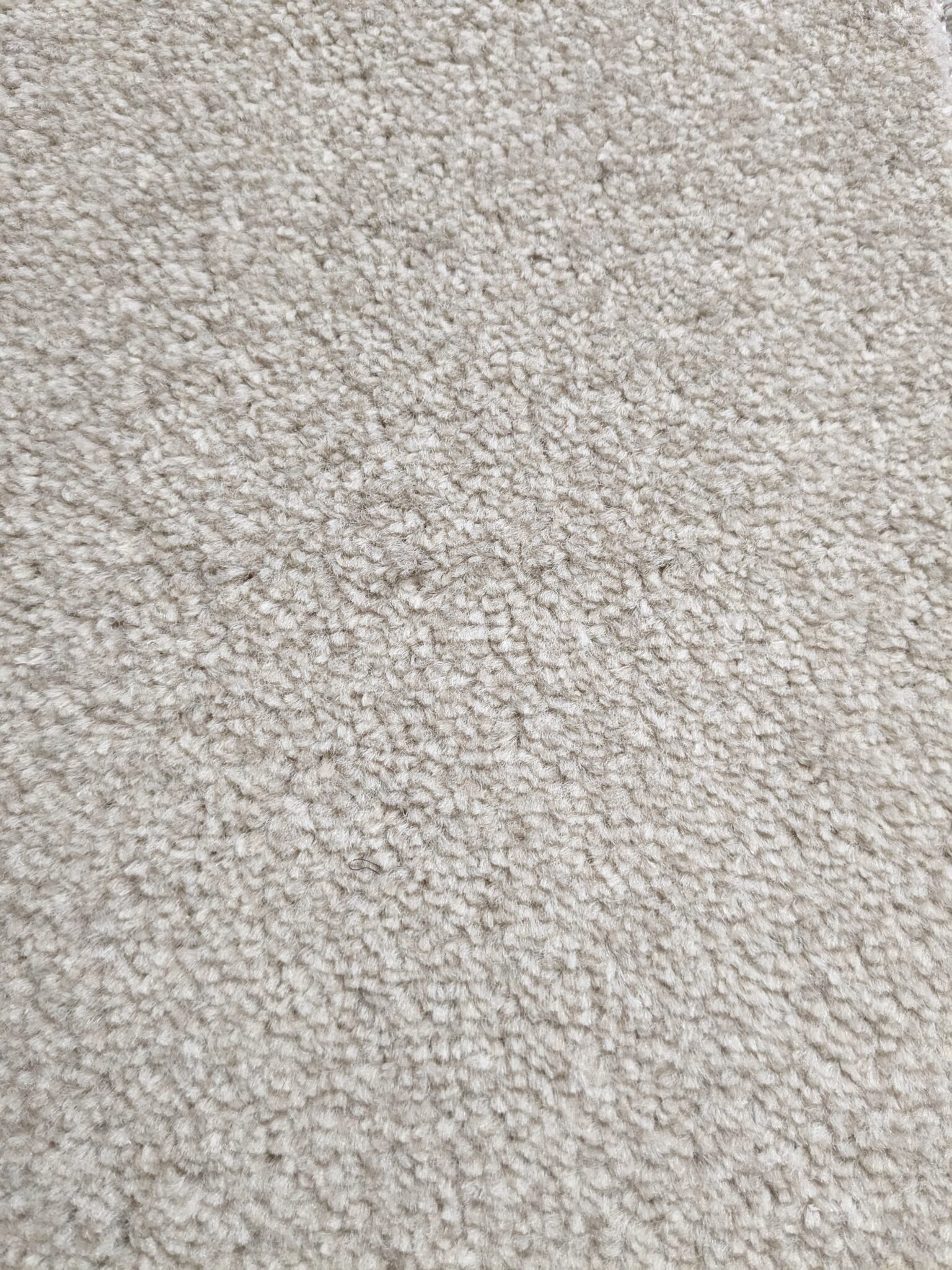 Caledon Twist by Carpet Monster Carpet Monster