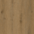 Harvest Oak